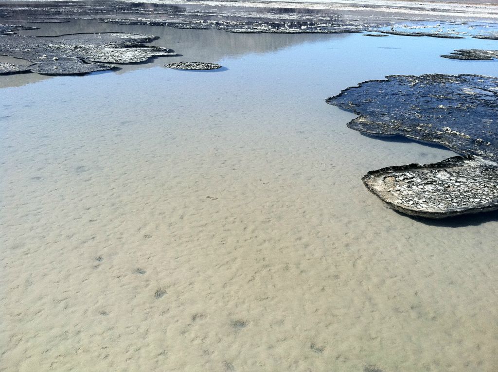 These pupfish ponds were pristine and amazing to behold.  If you are ever in the area, please be extra careful in walking around them.  Don't walk through any of the channels that the pupfish swim through or any of the areas where they live.  And don't get too close to the edges so that they don't collapse into the pools: